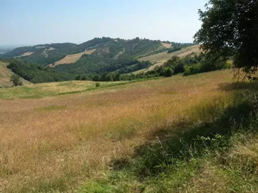 Immagine 1 di Terreno agricolo in vendita  in Strada comunale di Gabbiano a Noceto