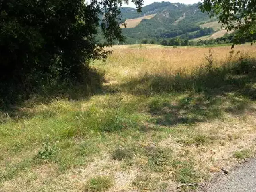 Immagine 3 di Terreno agricolo in vendita  in Strada comunale di Gabbiano a Noceto