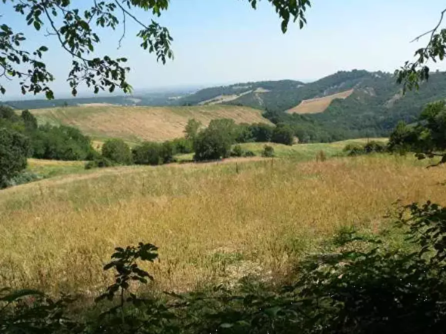 Immagine 4 di Terreno agricolo in vendita  in Strada comunale di Gabbiano a Noceto