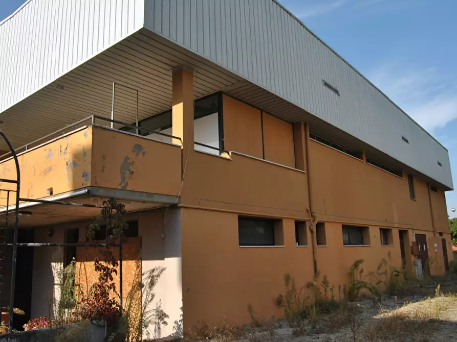 Immagine 7 di Negozio in vendita  in via Luigi Longo a Dozza