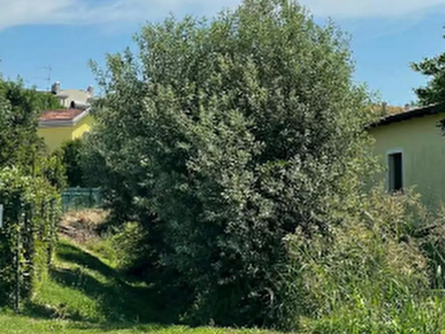 Immagine 3 di Terreno agricolo in vendita  in Via Giulia a Portogruaro