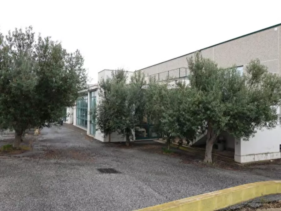 Immagine 6 di Capannone industriale in vendita  in Via Alberto La Rosa a Civitavecchia