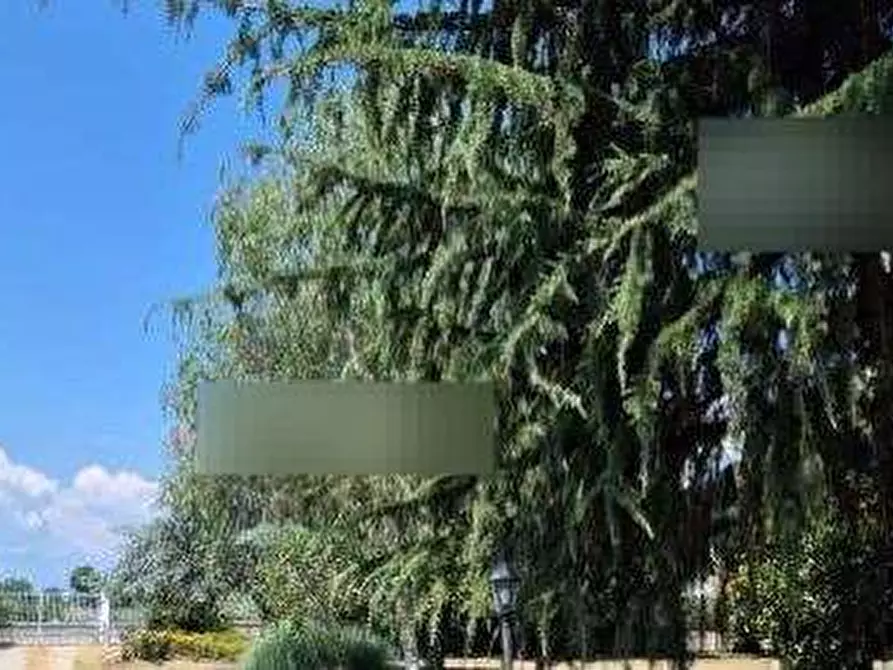 Immagine 7 di Villa in vendita  in Strada Nazionale a Bosconero