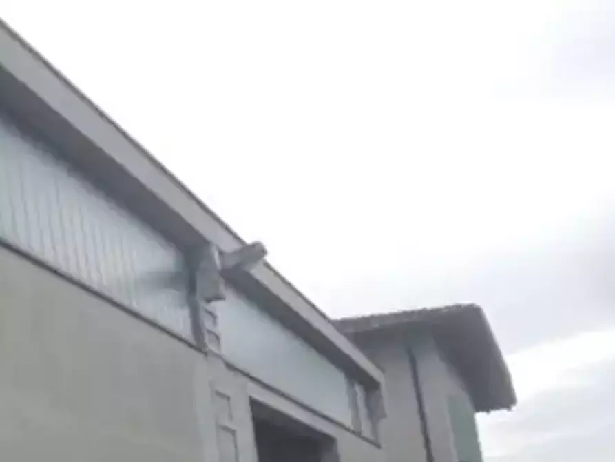 Immagine 11 di Laboratorio in vendita  in Via Don Minzoni  a San Possidonio