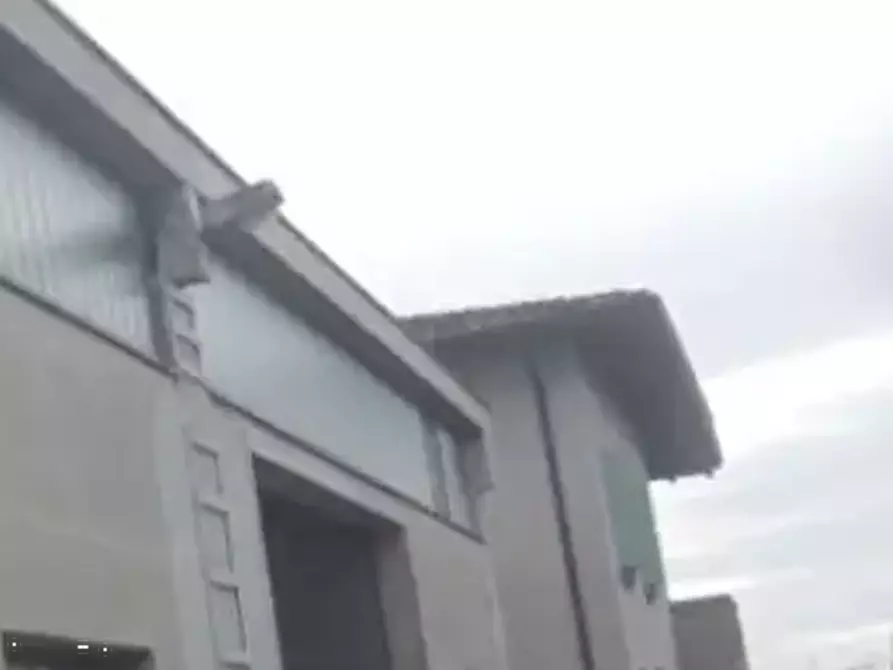 Immagine 1 di Laboratorio in vendita  in Via Don Minzoni  a San Possidonio