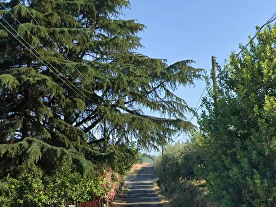 Immagine 8 di Villa in vendita  in Via Colle dei Cavalli a Velletri