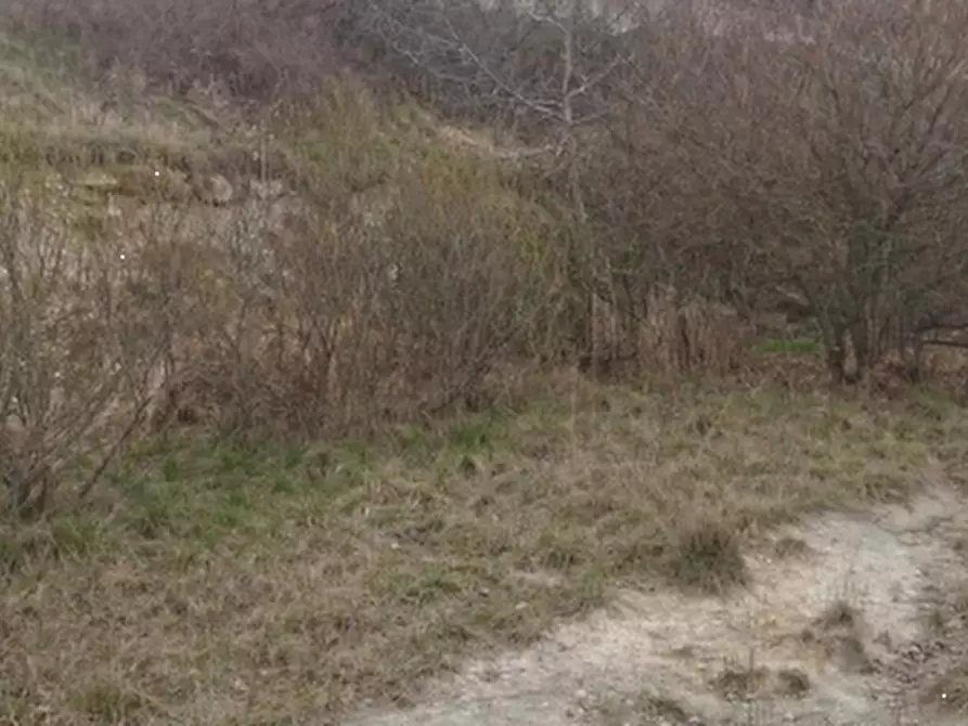 Immagine 6 di Terreno agricolo in vendita  in Via Redipuglia a Serramazzoni