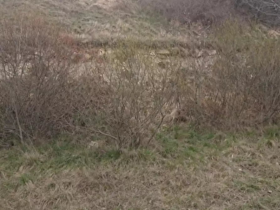 Immagine 7 di Terreno agricolo in vendita  in Via Redipuglia a Serramazzoni