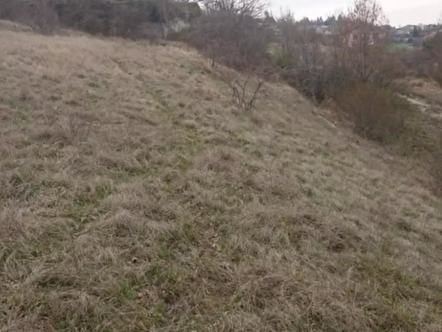 Immagine 8 di Terreno agricolo in vendita  in Via Redipuglia a Serramazzoni