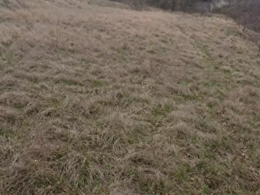 Immagine 9 di Terreno agricolo in vendita  in Via Redipuglia a Serramazzoni