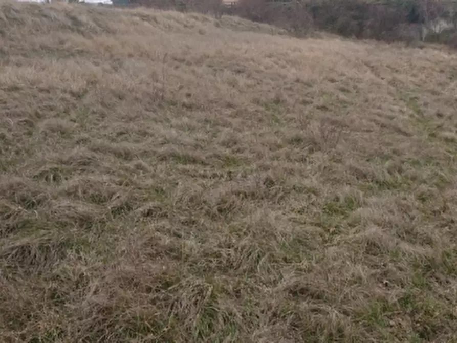 Immagine 2 di Terreno agricolo in vendita  in Via Redipuglia a Serramazzoni