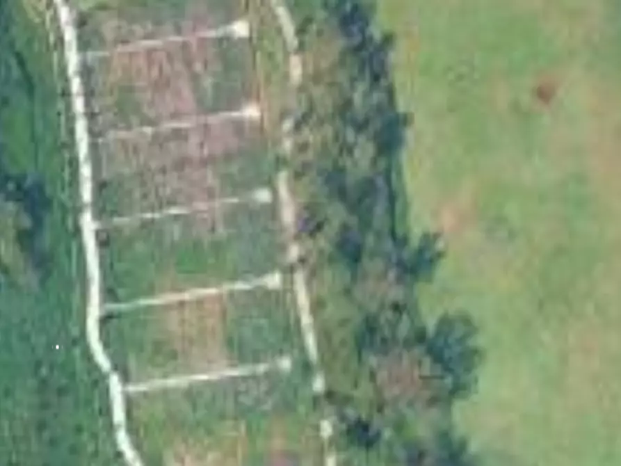 Immagine 10 di Terreno agricolo in vendita  in Via di Casal Boccone a Roma