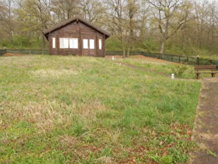 Immagine 2 di Magazzino in vendita  in Via Lupo Farneto a Viano