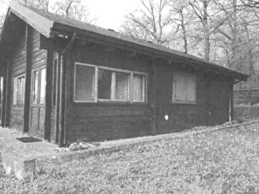 Immagine 4 di Magazzino in vendita  in Via Lupo Farneto a Viano