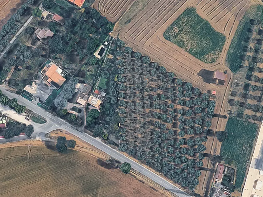 Immagine 10 di Appartamento in vendita  in Via Provinciale a Capena