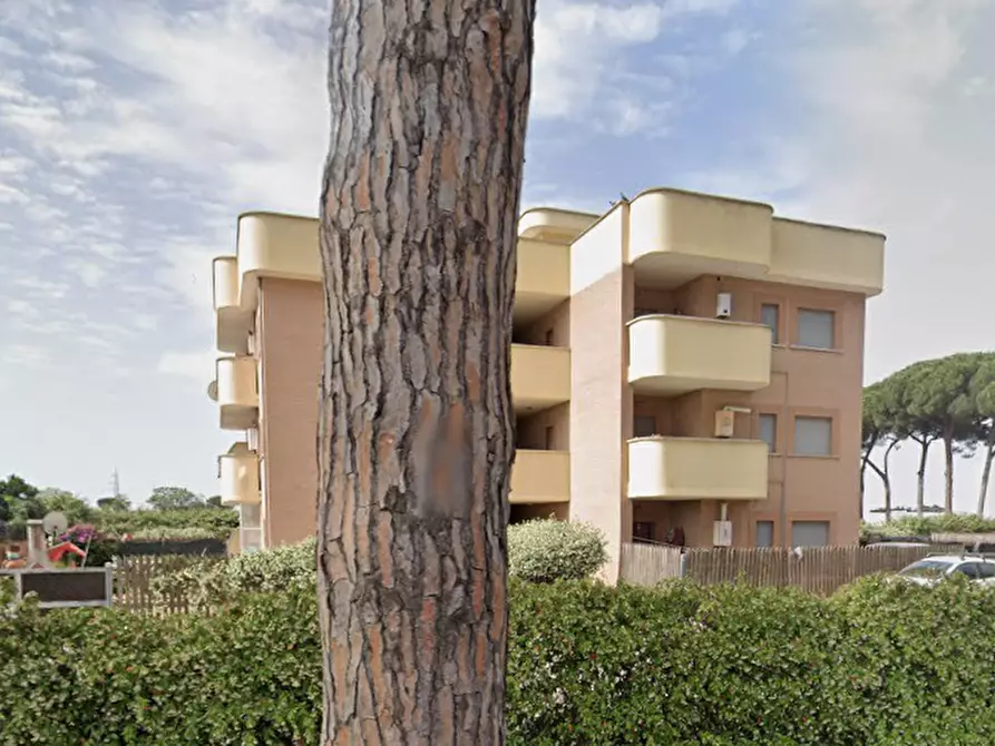 Immagine 6 di Appartamento in vendita  in Via Lago Maggiore a Nettuno