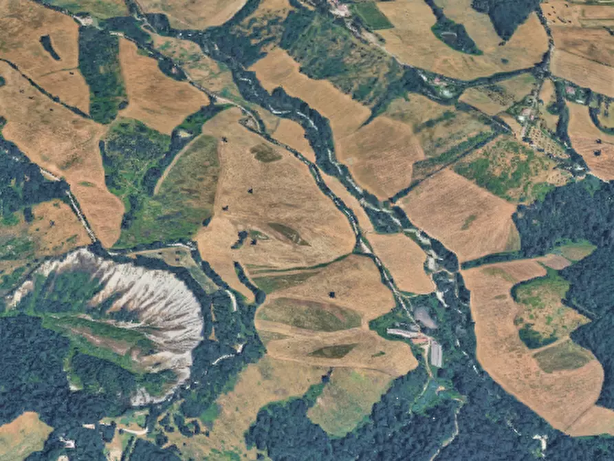 Immagine 5 di Capannone industriale in vendita  in Via Vendina  a Albinea