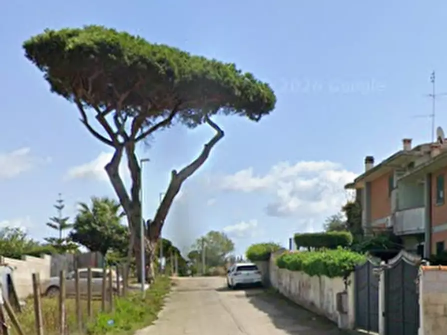 Immagine 10 di Villa in vendita  in Via dei Castani a Anzio