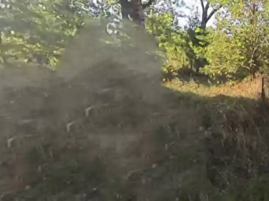 Immagine 1 di Terreno agricolo in vendita  in Via Stradone Secchia a Castellarano
