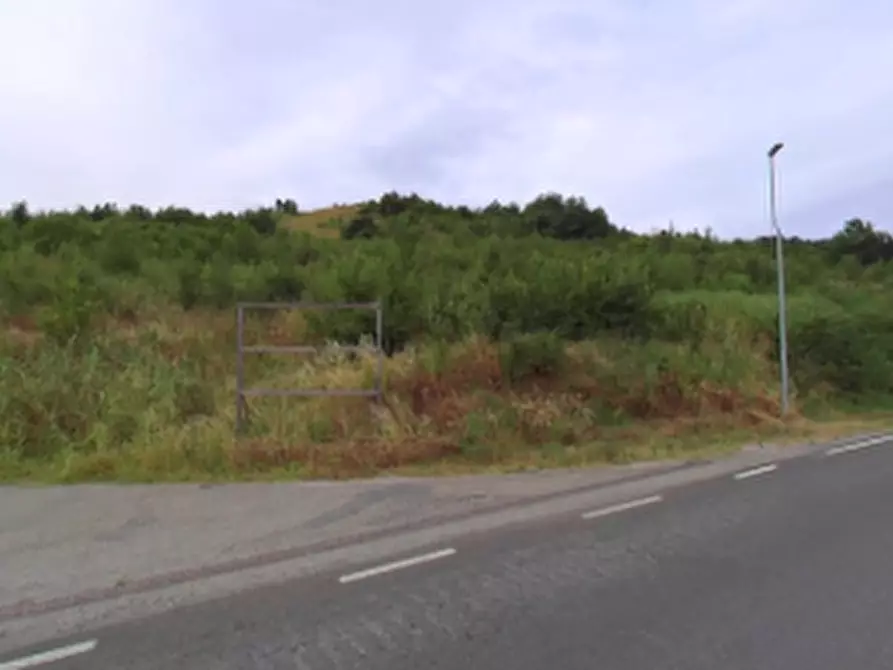 Immagine 4 di Terreno agricolo in vendita  in Via Radici Sud a Castellarano