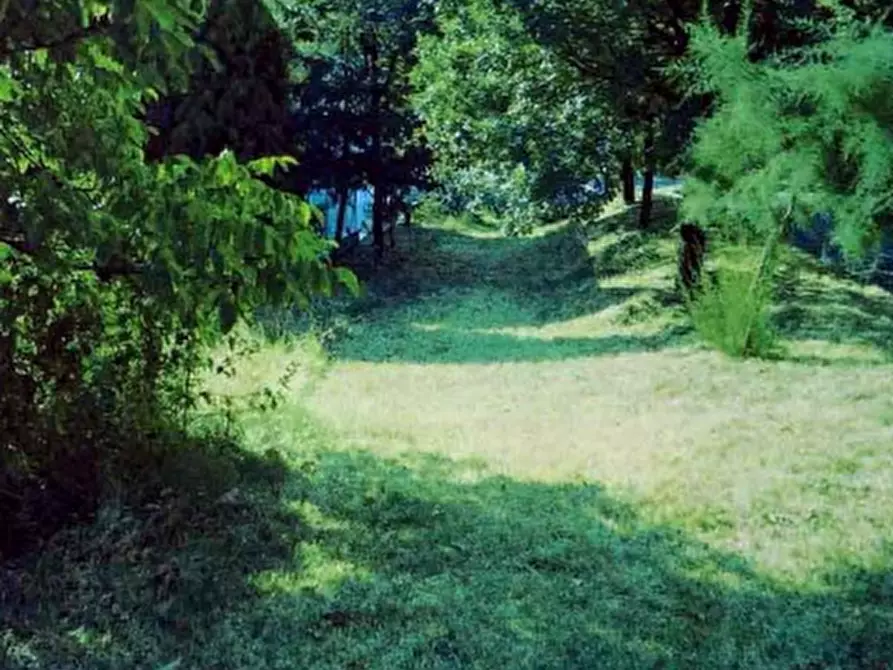 Immagine 2 di Terreno edificabile in vendita  in Via N. Sforacchi a Viano