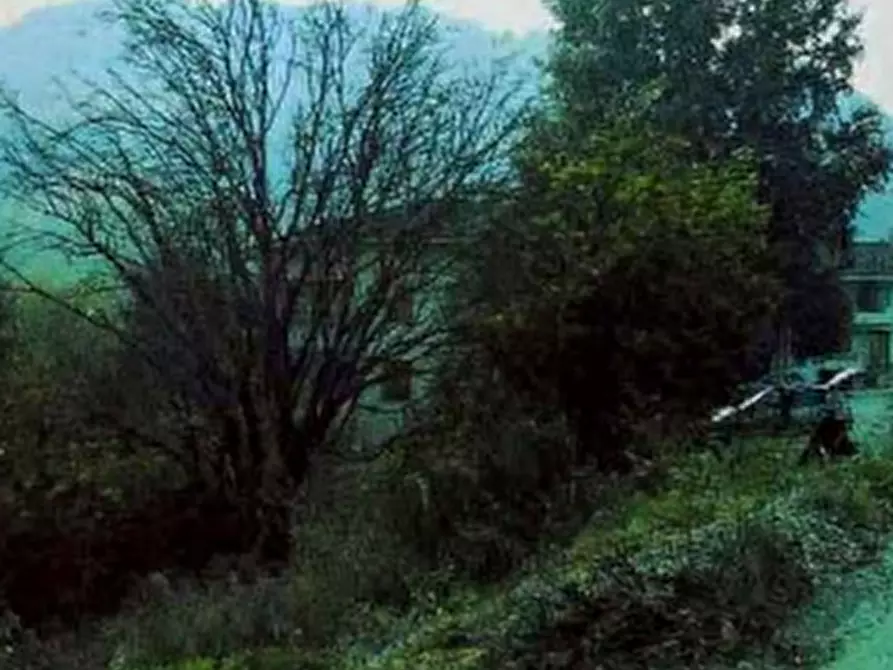 Immagine 3 di Terreno edificabile in vendita  in Via N. Sforacchi a Viano