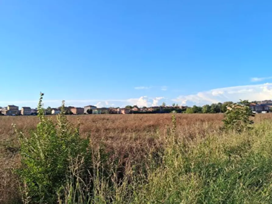 Immagine 2 di Terreno agricolo in vendita  in Strada Panni a Modena