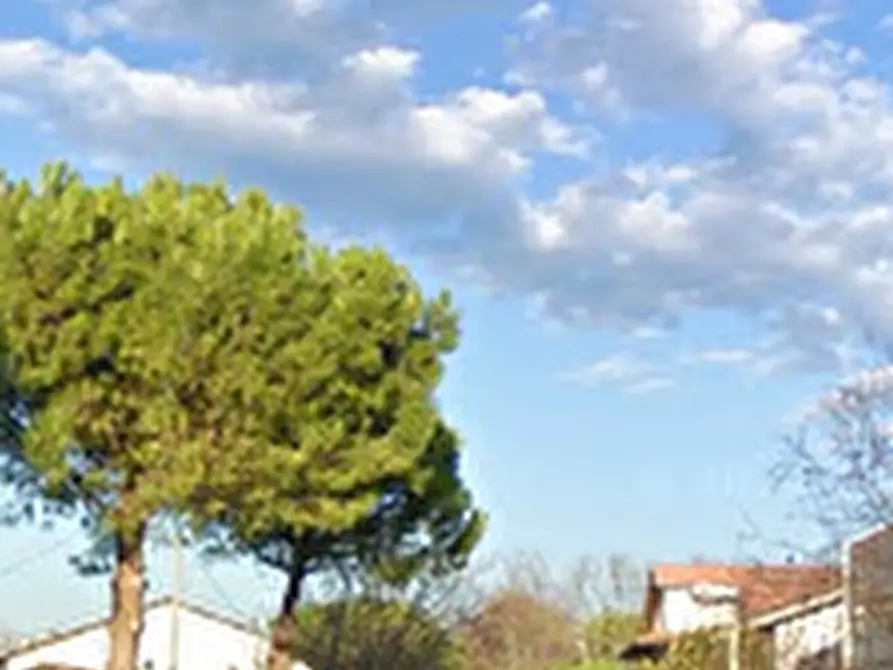 Immagine 9 di Appartamento in vendita  in Via Sant’Andrea a Cervia