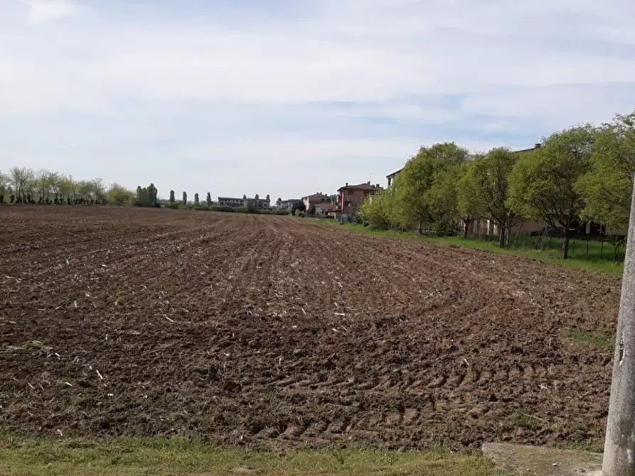 Immagine 3 di Terreno edificabile in vendita  in Via Gianni Rodari a Bagnolo San Vito