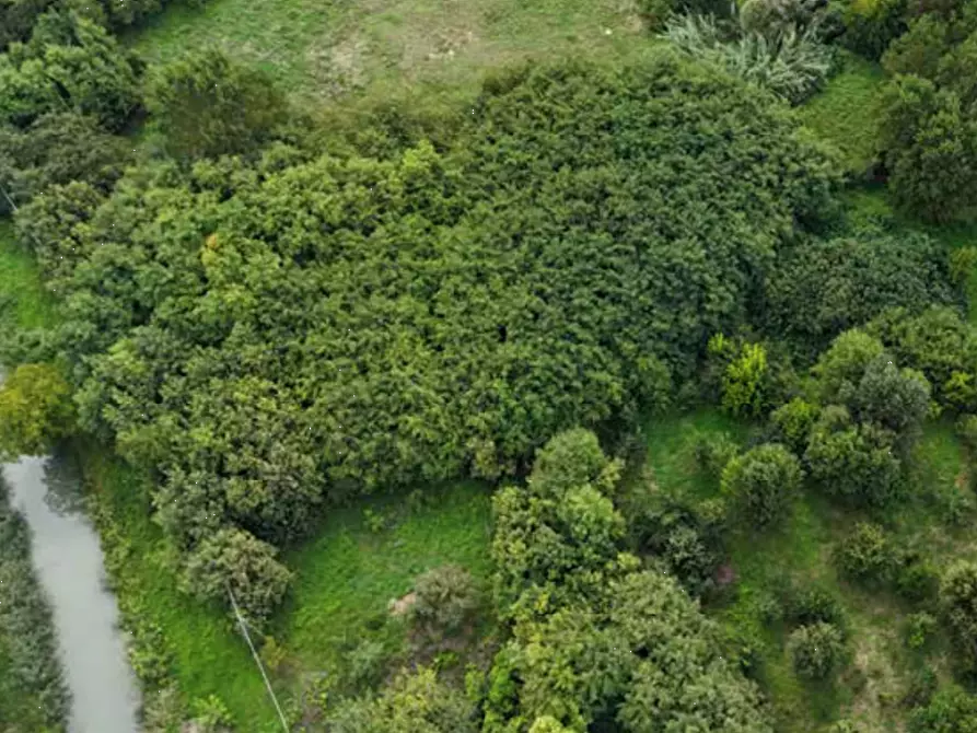 Immagine 3 di Terreno edificabile in vendita  in Viale Poggio Reale a Mantova