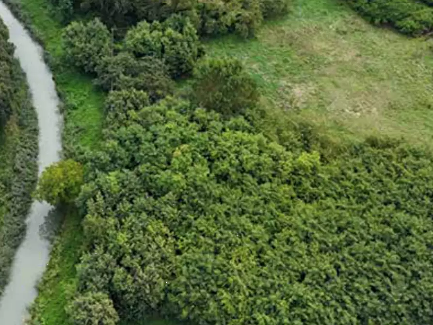 Immagine 4 di Terreno edificabile in vendita  in Viale Poggio Reale a Mantova