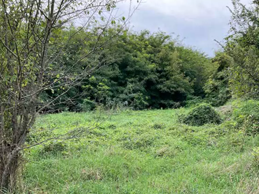 Immagine 5 di Terreno edificabile in vendita  in Viale Poggio Reale a Mantova