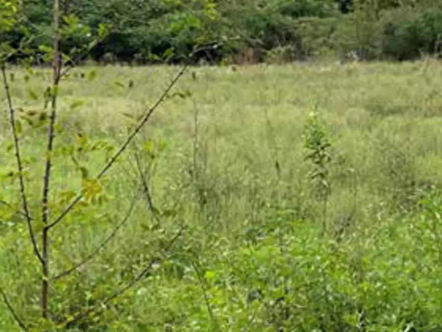 Immagine 8 di Terreno edificabile in vendita  in Viale Poggio Reale a Mantova
