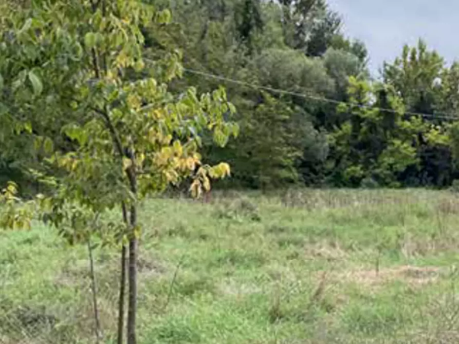 Immagine 9 di Terreno edificabile in vendita  in Viale Poggio Reale a Mantova