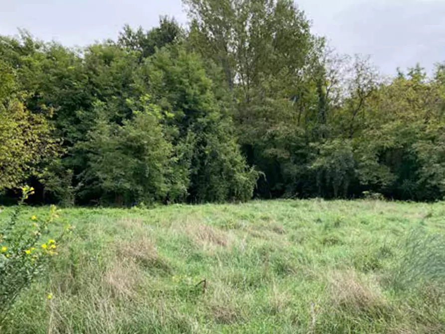 Immagine 10 di Terreno edificabile in vendita  in Viale Poggio Reale a Mantova