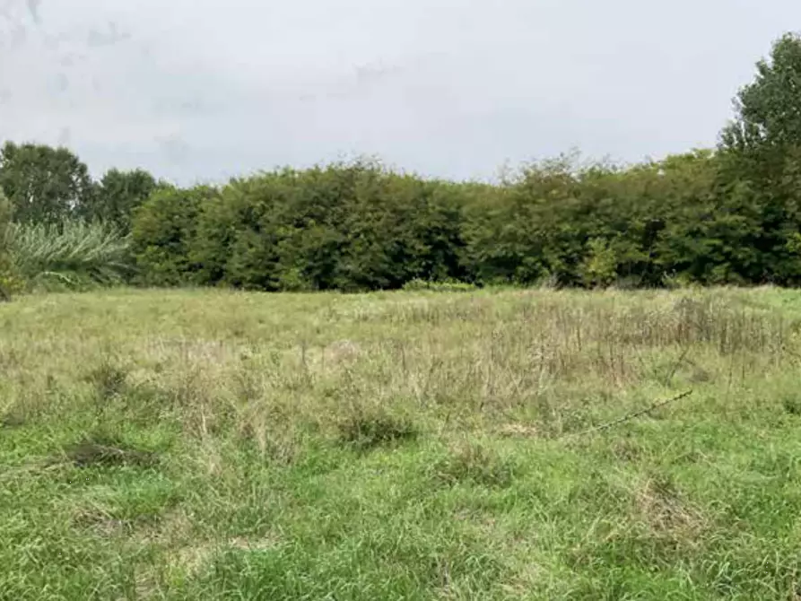 Immagine 11 di Terreno edificabile in vendita  in Viale Poggio Reale a Mantova