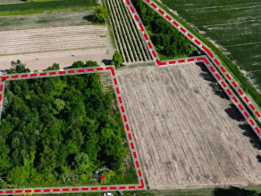 Immagine 2 di Terreno agricolo in vendita  in Via Matteotti a Maserada Sul Piave