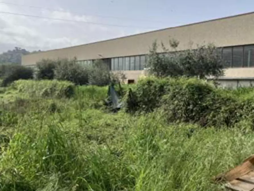 Immagine 4 di Terreno edificabile in vendita  in Via Lama a Montelabbate