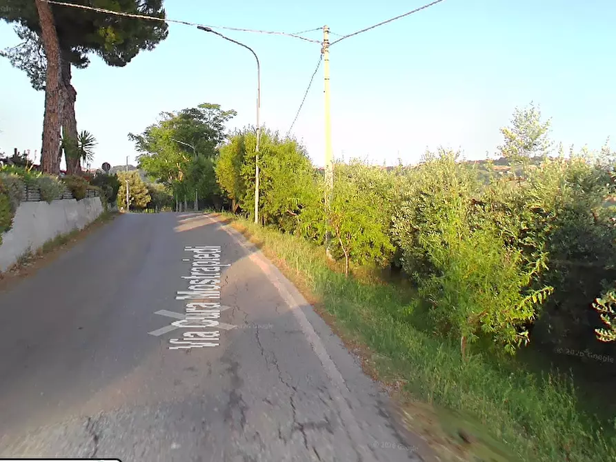 Immagine 3 di Terreno agricolo in vendita  in Strada Cura Mostrapiedi a Sant'elpidio A Mare