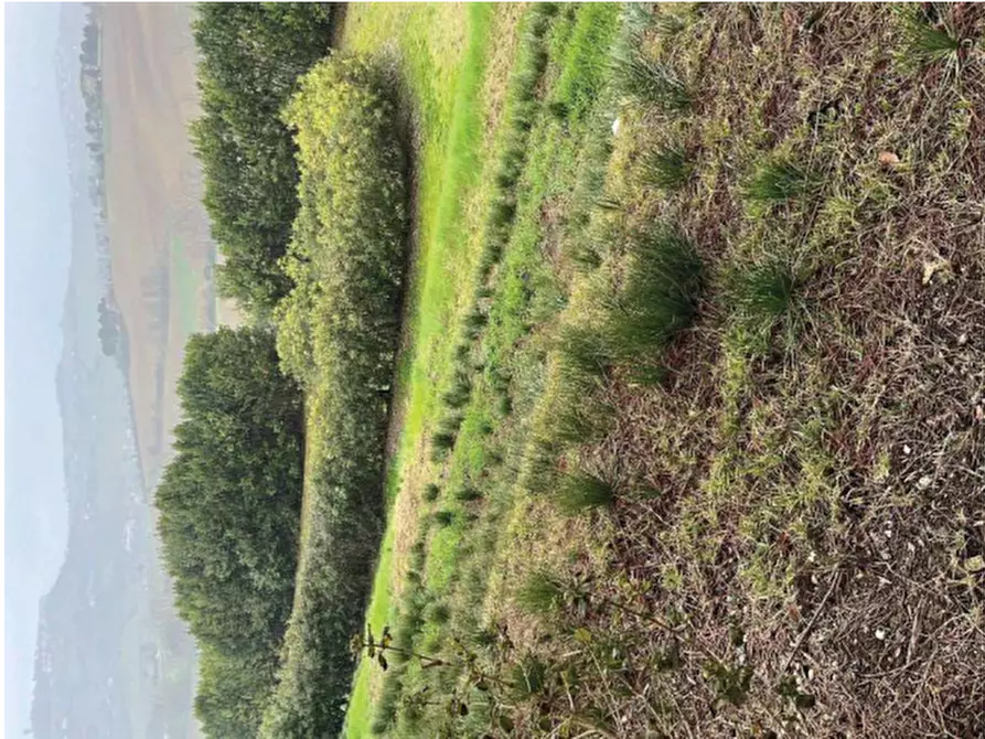 Immagine 8 di Terreno agricolo in vendita  in Strada Cura Mostrapiedi a Sant'elpidio A Mare