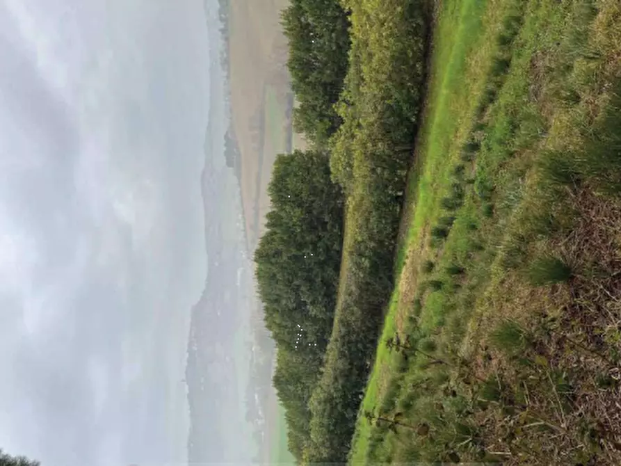 Immagine 9 di Terreno agricolo in vendita  in Strada Cura Mostrapiedi a Sant'elpidio A Mare