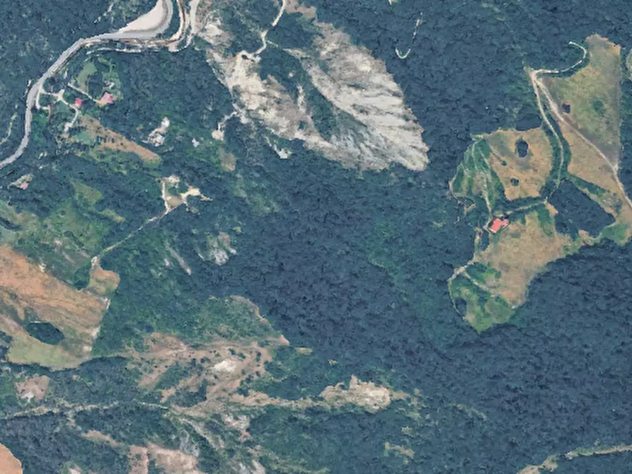 Immagine 4 di Terreno agricolo in vendita  in Via la Rocca  a Vezzano Sul Crostolo