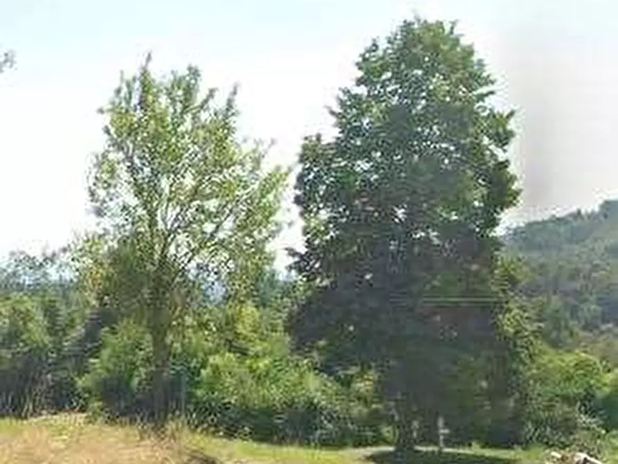 Immagine 8 di Appartamento in vendita  in Strada Colle Secchie a Corio