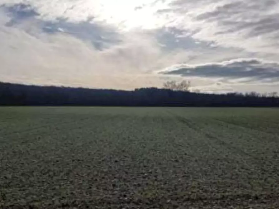 Immagine 1 di Terreno agricolo in vendita  in Localita' Gran Passo a Chiopris Viscone