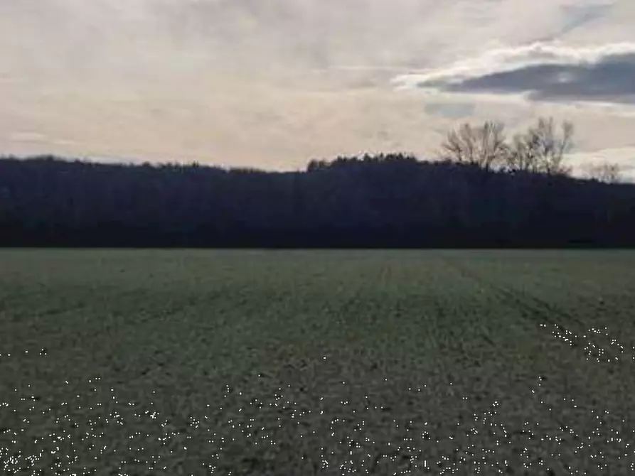 Immagine 2 di Terreno agricolo in vendita  in Localita' Gran Passo a Chiopris Viscone