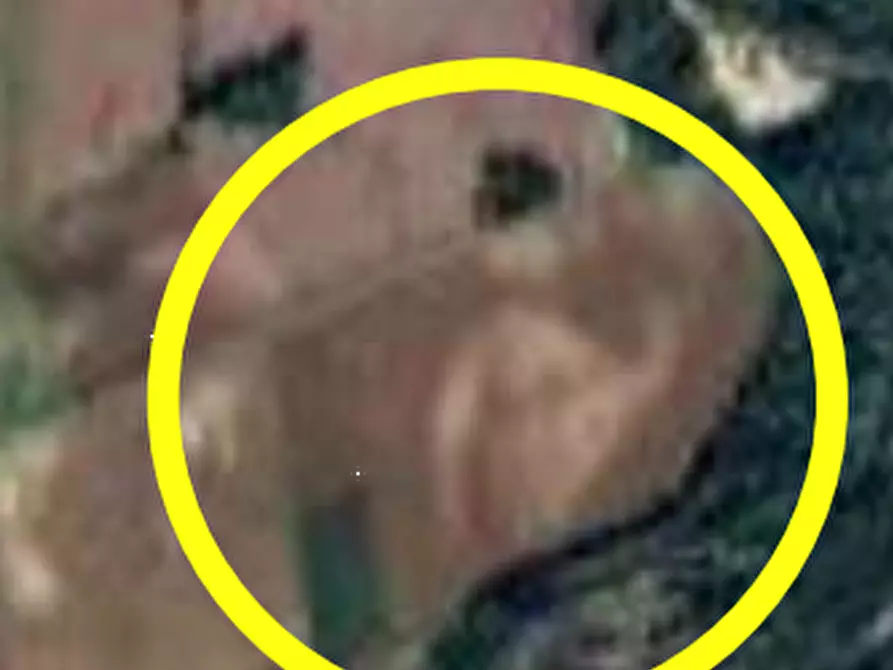 Immagine 3 di Terreno agricolo in vendita  in Localita' Gran Passo a Chiopris Viscone