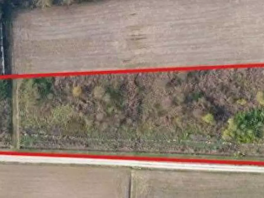 Immagine 1 di Terreno agricolo in vendita  in Via Villa Grandesso a Sossano