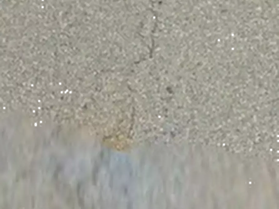 Immagine 13 di Negozio in vendita  in Via Emilia Ovest  a Rottofreno