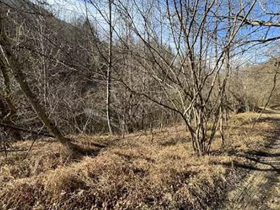 Immagine 1 di Terreno agricolo in vendita  in Frazione Località Fusinetta a Cassina Valsassina