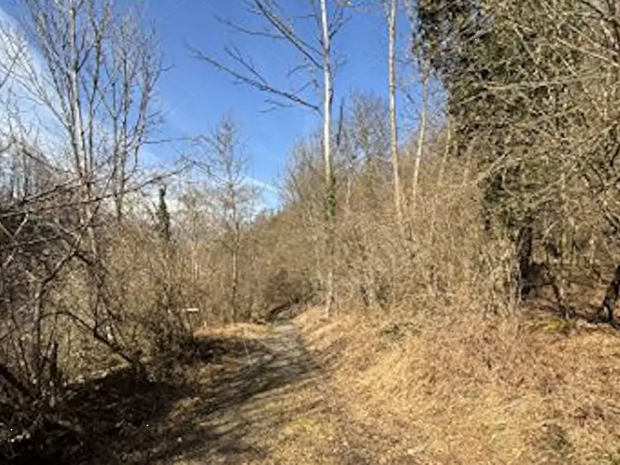 Immagine 4 di Terreno agricolo in vendita  in Frazione Località Fusinetta a Cassina Valsassina